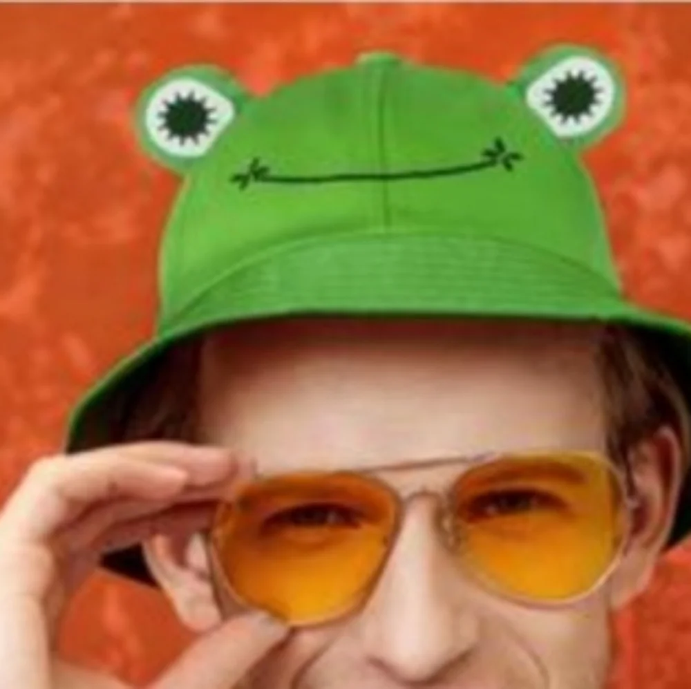 BOGO FREE SAOROPEB Frog Hat For Adult Teens, Cute Frog- Cotton Bucket Hat NEW - Picture 4 of 5
